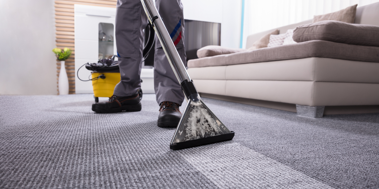 Carpet Cleaning